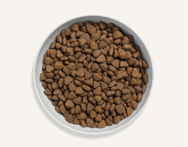 Canagan Country Game Dry Cat Food - 4KG